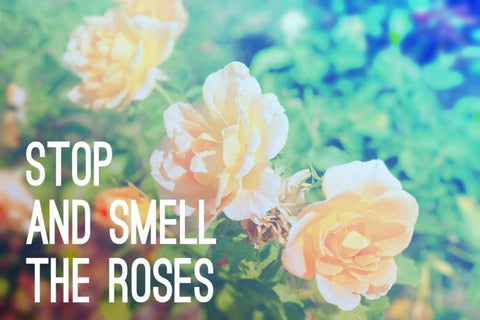 Stop And Smell The Roses Black Ornate Wood Framed Art Print with Double Matting by Peck, Gail