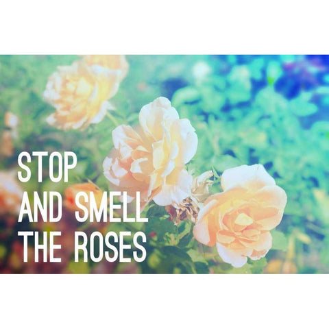 Stop And Smell The Roses Gold Ornate Wood Framed Art Print with Double Matting by Peck, Gail