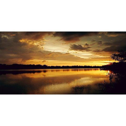 Yellow Sunset Black Modern Wood Framed Art Print by Peck, Gail