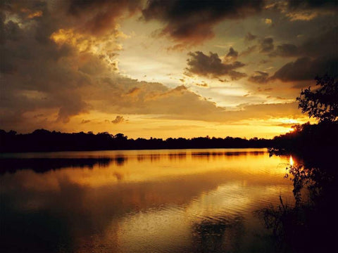 Yellow Sunset Black Ornate Wood Framed Art Print with Double Matting by Peck, Gail