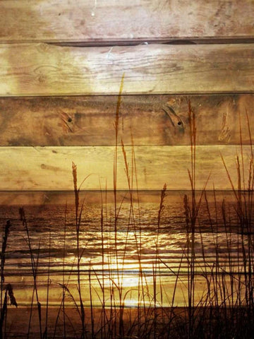 By The Grass Sunset Wood Black Ornate Wood Framed Art Print with Double Matting by Peck, Gail