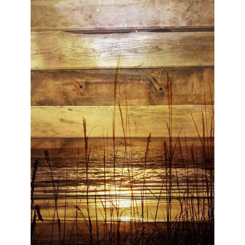 By The Grass Sunset Wood Black Modern Wood Framed Art Print by Peck, Gail
