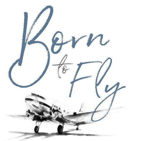 Born To Fly Black Modern Wood Framed Art Print with Double Matting by Pinto, Patricia