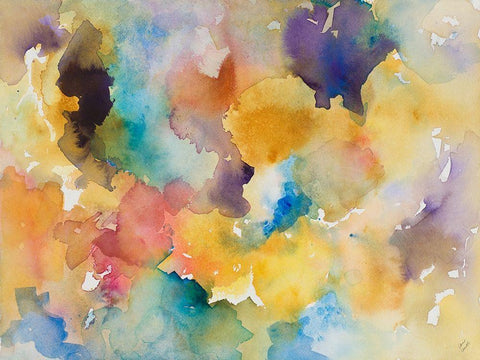 Canyon Dream Black Ornate Wood Framed Art Print with Double Matting by Loreth, Lanie