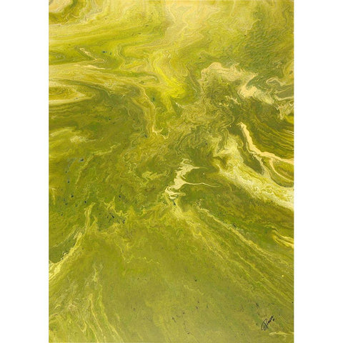 Daylight Gold Ornate Wood Framed Art Print with Double Matting by Gonzalez, Roberto