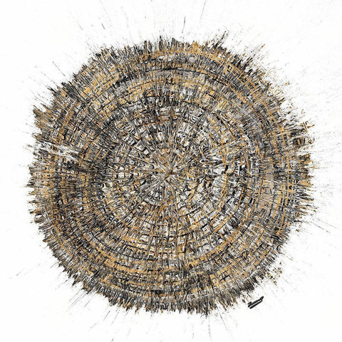 Mysterious Tree Ring Black Ornate Wood Framed Art Print with Double Matting by Gonzalez, Roberto