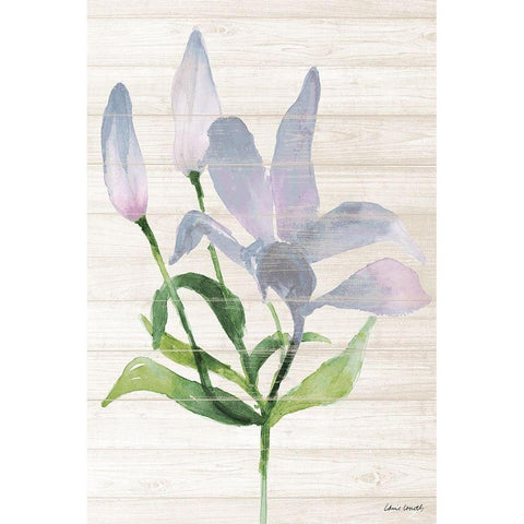 Lavender Paradise Lily Black Modern Wood Framed Art Print with Double Matting by Loreth, Lanie