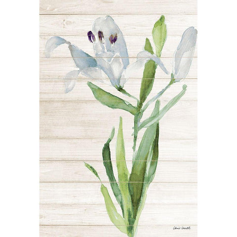 Soft Blue Paradise Lily White Modern Wood Framed Art Print by Loreth, Lanie