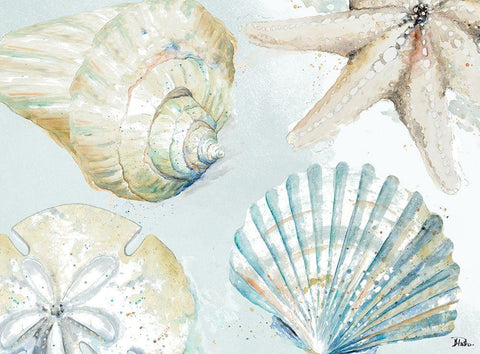 Shell Collectors White Modern Wood Framed Art Print with Double Matting by Pinto, Patricia