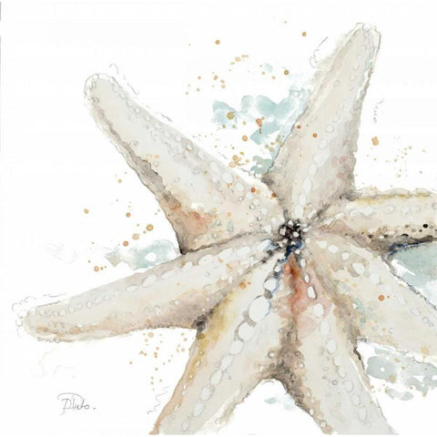 Water Starfish White Modern Wood Framed Art Print by Pinto, Patricia