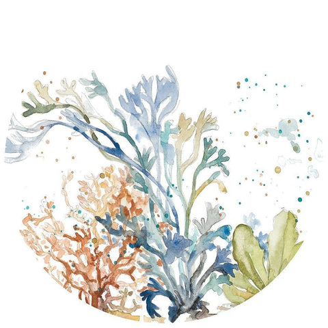 Under the Sea Plants Circle White Modern Wood Framed Art Print by Pinto, Patricia