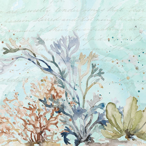 Seaweed Watercolor II White Modern Wood Framed Art Print with Double Matting by Pinto, Patricia