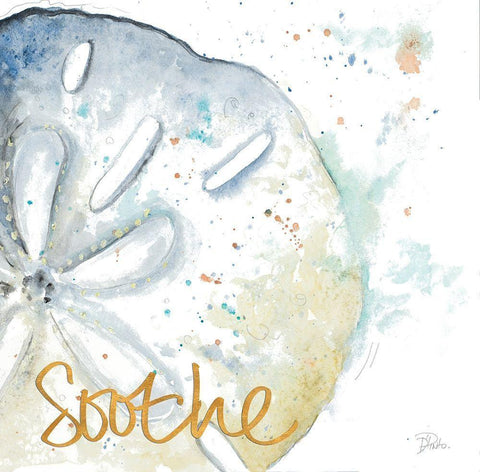 Soothe Water Sand Dollar White Modern Wood Framed Art Print with Double Matting by Pinto, Patricia