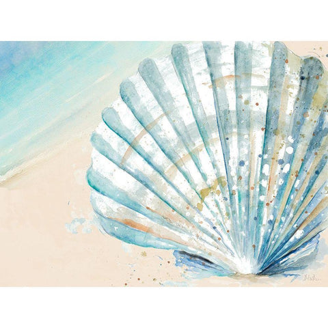 Awashed Shell White Modern Wood Framed Art Print by Pinto, Patricia
