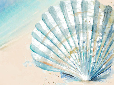 Awashed Shell White Modern Wood Framed Art Print with Double Matting by Pinto, Patricia