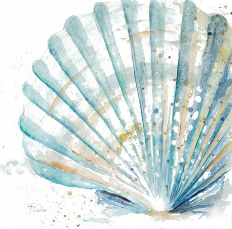 Water Shell Black Ornate Wood Framed Art Print with Double Matting by Pinto, Patricia