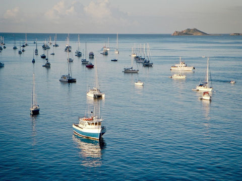 Sails Down Black Ornate Wood Framed Art Print with Double Matting by Rodriguez, Jairo