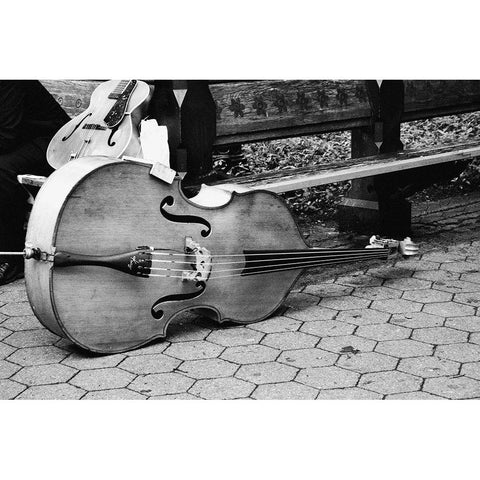 Cello Black Modern Wood Framed Art Print with Double Matting by Navas, Emily