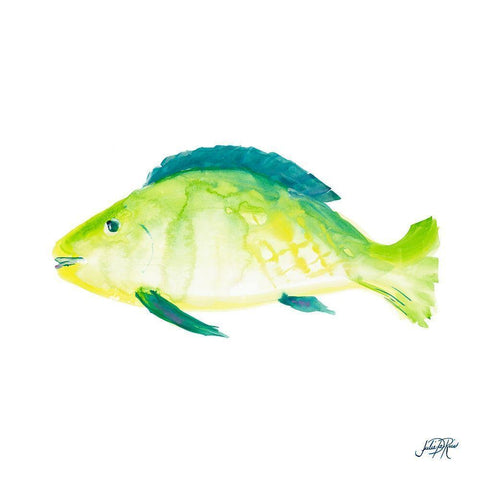 Fish II Black Modern Wood Framed Art Print with Double Matting by DeRice, Julie