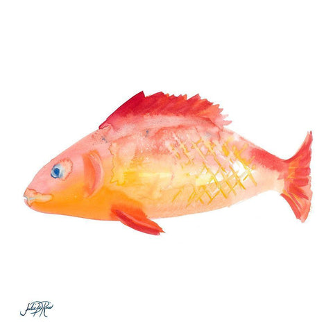 Fish IV White Modern Wood Framed Art Print with Double Matting by DeRice, Julie
