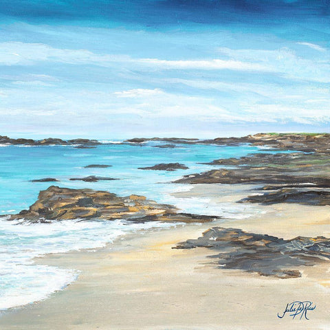 Rocky Shore II Black Ornate Wood Framed Art Print with Double Matting by DeRice, Julie