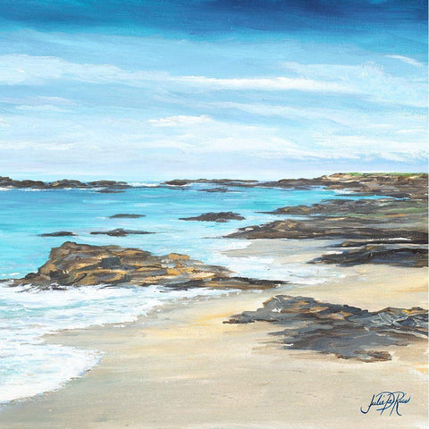 Rocky Shore II Black Modern Wood Framed Art Print by DeRice, Julie