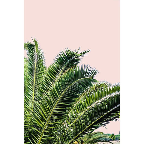 Tropical Leaves On Blush I White Modern Wood Framed Art Print by Acosta