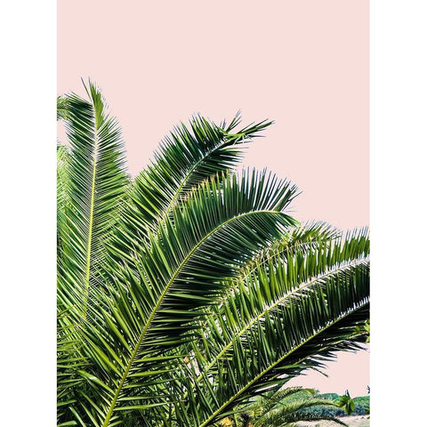 Tropical Leaves on Blush I White Modern Wood Framed Art Print by Acosta