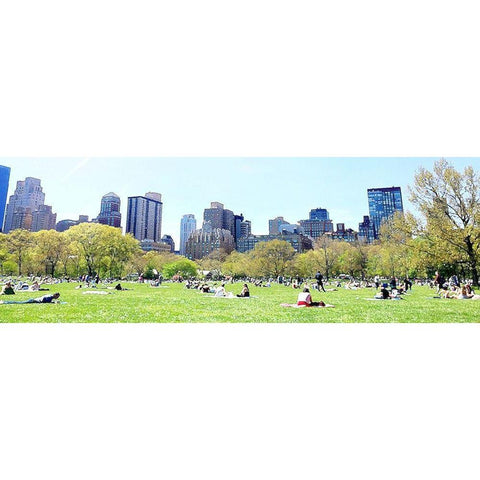 Central Park Picnic White Modern Wood Framed Art Print by Acosta