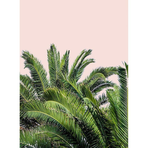 Tropical Leaves on Blush II Gold Ornate Wood Framed Art Print with Double Matting by Acosta