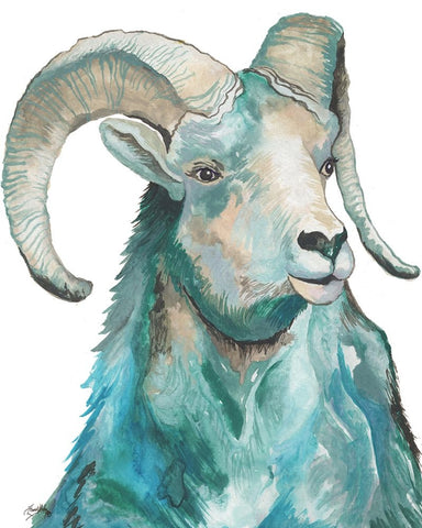 Teal Ram Black Ornate Wood Framed Art Print with Double Matting by Medley, Elizabeth