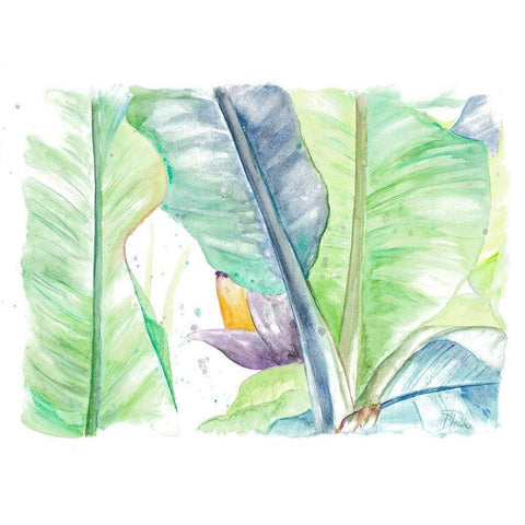 Fresh Banana Plantain Black Modern Wood Framed Art Print with Double Matting by Pinto, Patricia