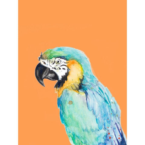 Parrot Portrait Black Modern Wood Framed Art Print with Double Matting by Pinto, Patricia