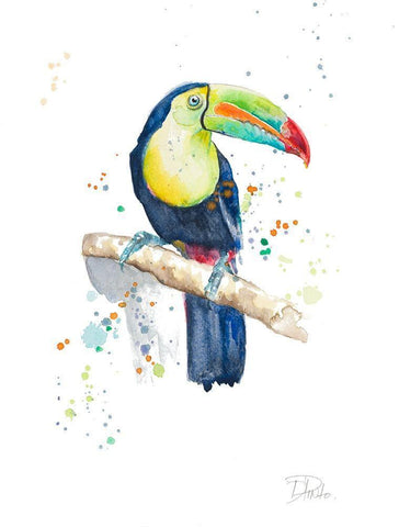 Watercolor Toucan Black Ornate Wood Framed Art Print with Double Matting by Pinto, Patricia