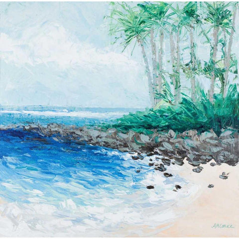 Little Cove Black Modern Wood Framed Art Print with Double Matting by Coolick, Ann Marie
