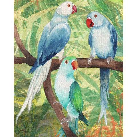Tropical Birds I Black Modern Wood Framed Art Print with Double Matting by Medley, Elizabeth