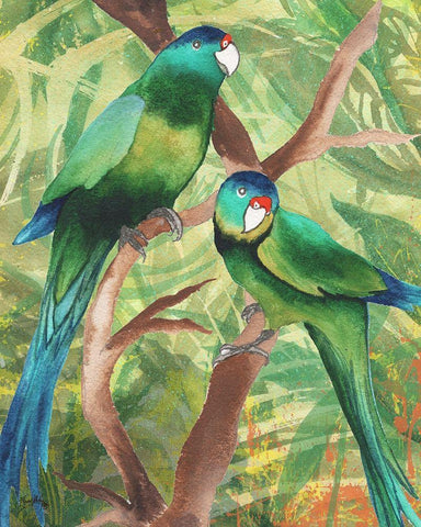 Tropical Birds II Black Ornate Wood Framed Art Print with Double Matting by Medley, Elizabeth