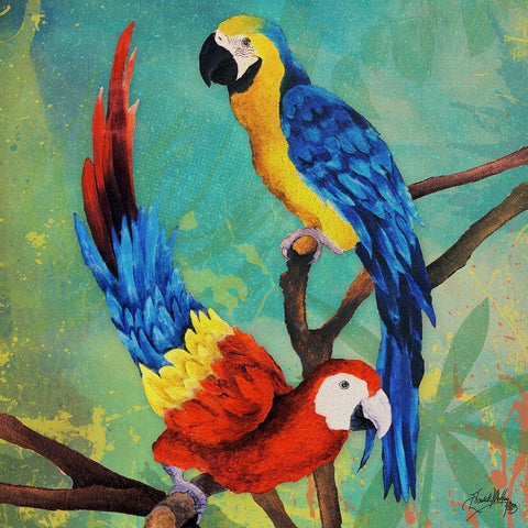 Tropical Birds in Love II Black Ornate Wood Framed Art Print with Double Matting by Medley, Elizabeth
