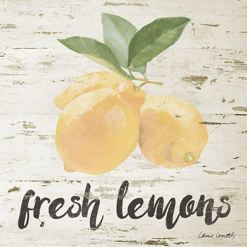 Fresh Lemons Black Modern Wood Framed Art Print with Double Matting by Loreth, Lanie