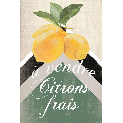 Citron Frais Black Modern Wood Framed Art Print with Double Matting by Loreth, Lanie