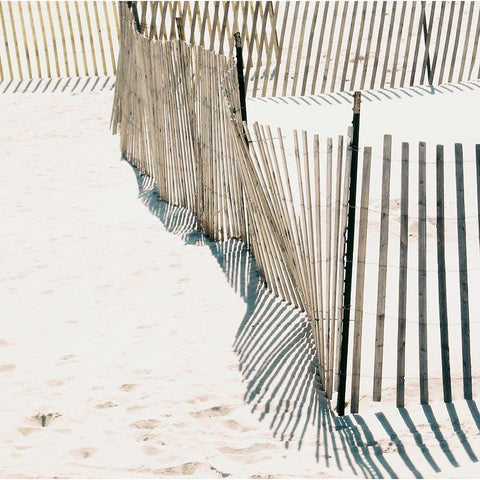 Beach Fence I Gold Ornate Wood Framed Art Print with Double Matting by Biscardi, Nicholas