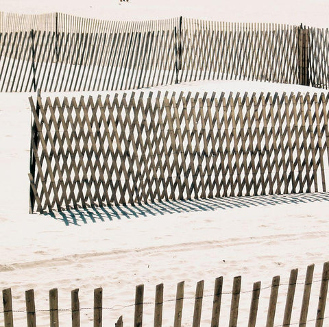 Beach Fence II Black Ornate Wood Framed Art Print with Double Matting by Biscardi, Nicholas