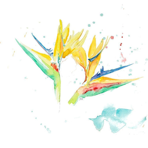 Bird of Paradise I Black Modern Wood Framed Art Print by Pinto, Patricia