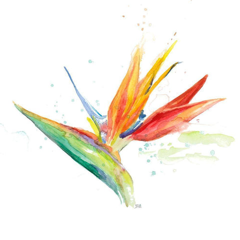 Bird of Paradise III Black Modern Wood Framed Art Print with Double Matting by Pinto, Patricia