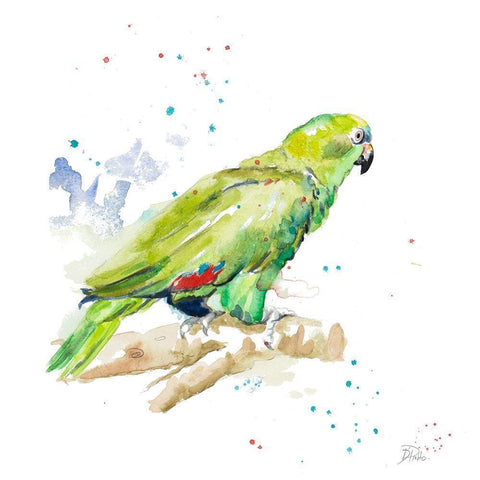 Amazon Parrot III Black Modern Wood Framed Art Print by Pinto, Patricia