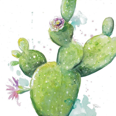 Cactus in Bloom White Modern Wood Framed Art Print with Double Matting by Pinto, Patricia