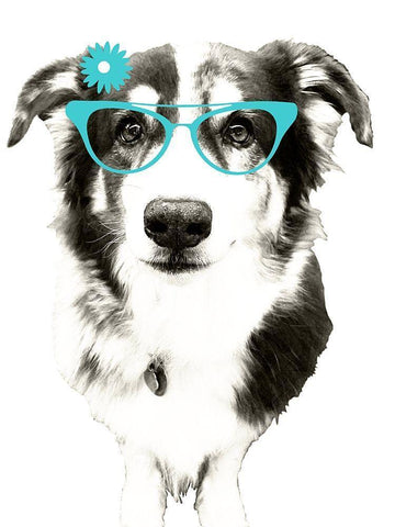 Dogs in Spring White Modern Wood Framed Art Print with Double Matting by Edwins, Hugo