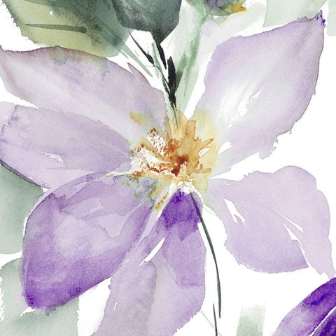 Clematis in Purple Shades I White Modern Wood Framed Art Print with Double Matting by Loreth, Lanie