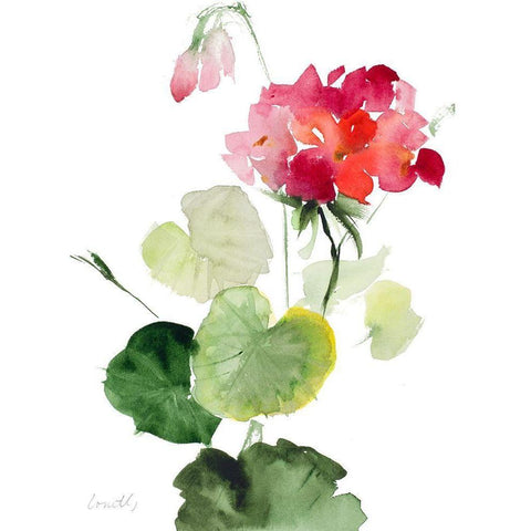 Geranium II White Modern Wood Framed Art Print by Loreth, Lanie