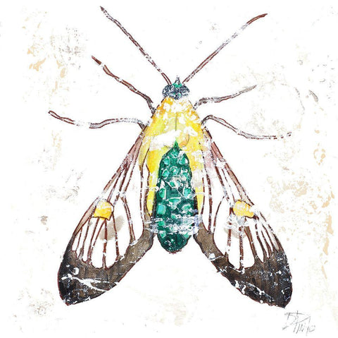 Wild Butterfly White Modern Wood Framed Art Print with Double Matting by Pinto, Patricia